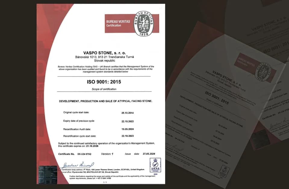 ISO politika