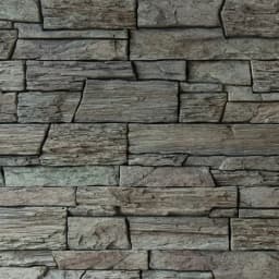 EXCLUSIVE Slate Castle forest